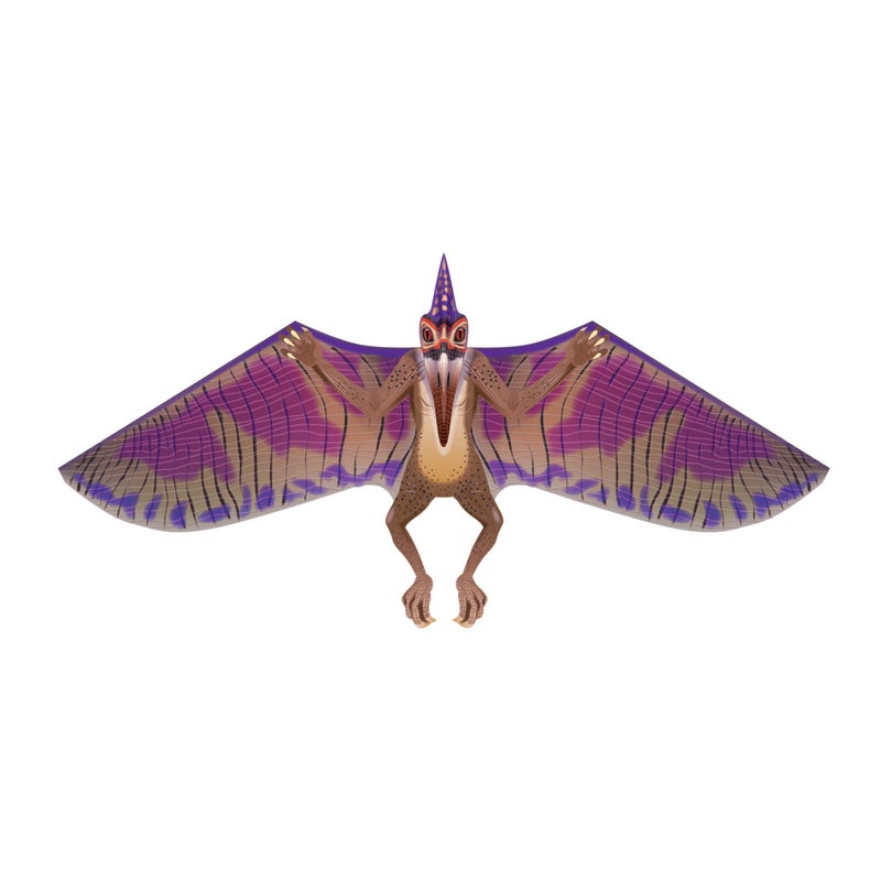 WindNSun DinoSoars Nylon Dinosaur Nylon Kite Pterodactyl 64 Inches Wide - Image 3