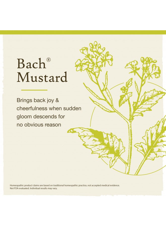RESCUE Bach Original Flower Remedies, Mustard for Joy, Natural Homeopathic Flower Essence, Emotional Wellness and Stress Relief, Holiday Gift for Him or Her, Vegan, 20mL Dropper  - Image 3