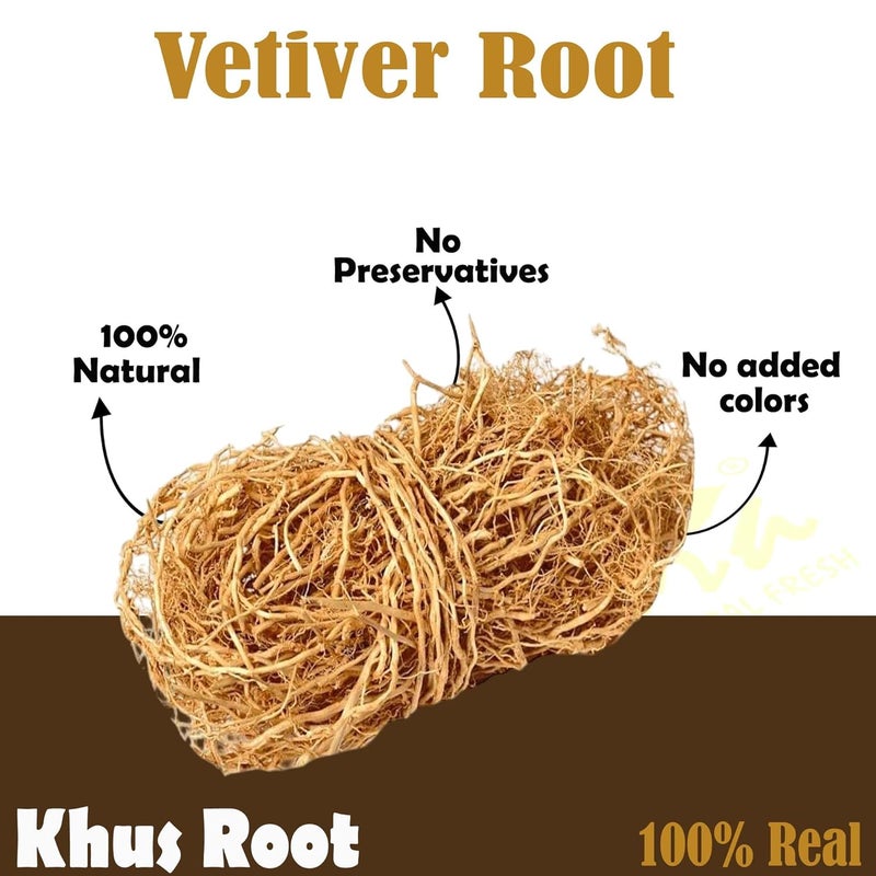 Saara HERBAL FRESH Vetiver Root 100g Khus Root Vetiveria Zizanioides Vala Kas Ramacham Vetiver for Hair Growth Healthy Skin Pack of 1 X 100g - Image 4