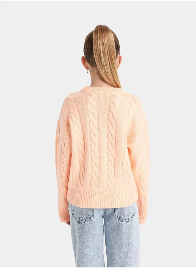 ديفاكتو Regular Fit Crew Neck Cable Knit Sweater by Styli