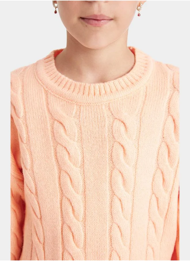 ديفاكتو Regular Fit Crew Neck Cable Knit Sweater by Styli