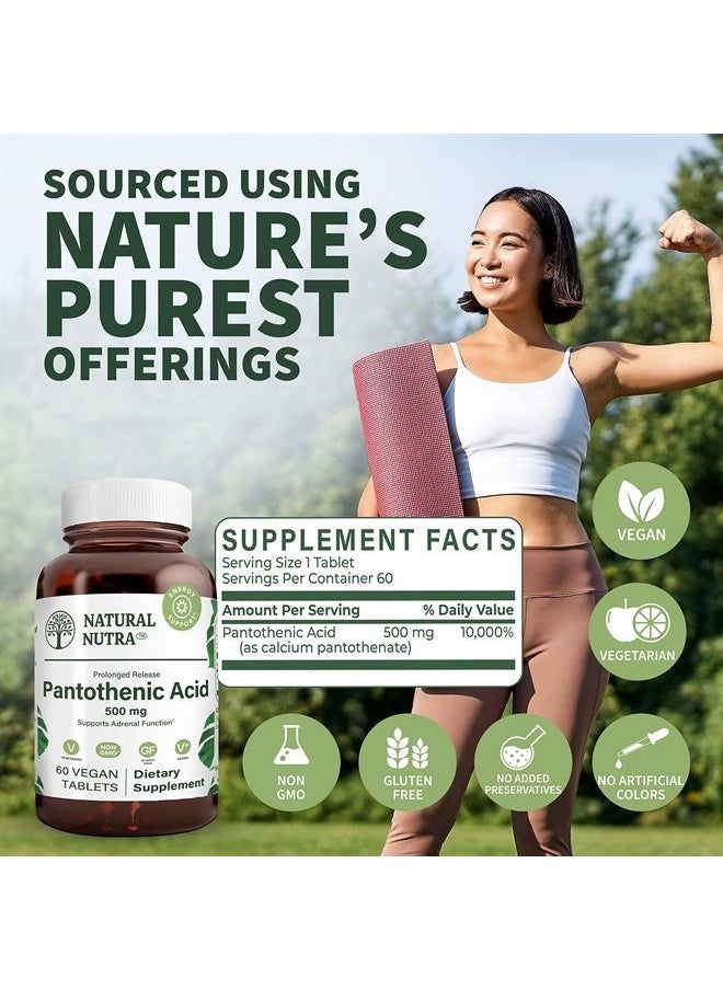 Natural Nutra Time Release Pantothenic Acid 500 mg, Vitamin B5 Supplement for Adrenal Support, Helps Break Down Fat and Carbohydrates, Metabolism and Energy, 60 Vegetarian Tablets  - Image 2