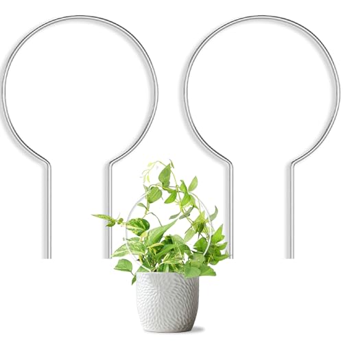JETTIFY 2 Pack Round Plant Trellis for Potted Plants Indoor Outdoor Acrylic Small Trellis for Climbing Plants Plant Support for Hoya Pothos Vine Ivy Monstera Flower Philodendrons Dischidia - Image 1