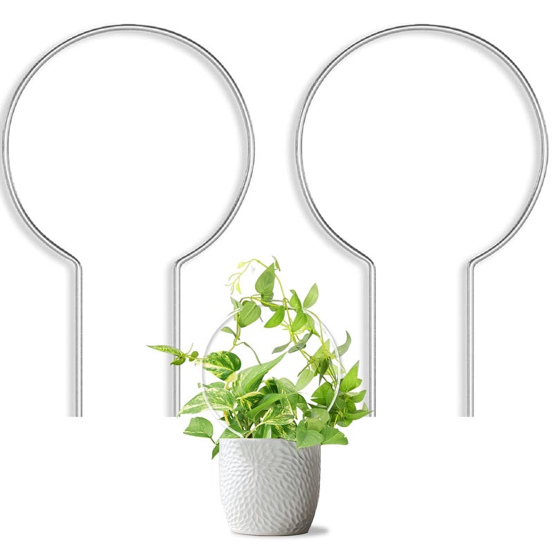JETTIFY 2 Pack Round Plant Trellis for Potted Plants Indoor Outdoor Acrylic Small Trellis for Climbing Plants Plant Support for Hoya Pothos Vine Ivy Monstera Flower Philodendrons Dischidia - Image 2