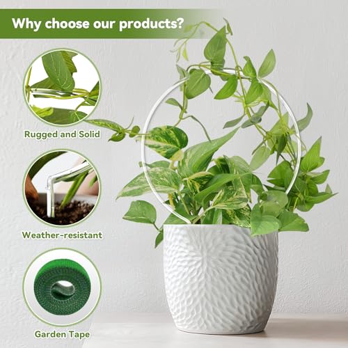 JETTIFY 2 Pack Round Plant Trellis for Potted Plants Indoor Outdoor Acrylic Small Trellis for Climbing Plants Plant Support for Hoya Pothos Vine Ivy Monstera Flower Philodendrons Dischidia - Image 3