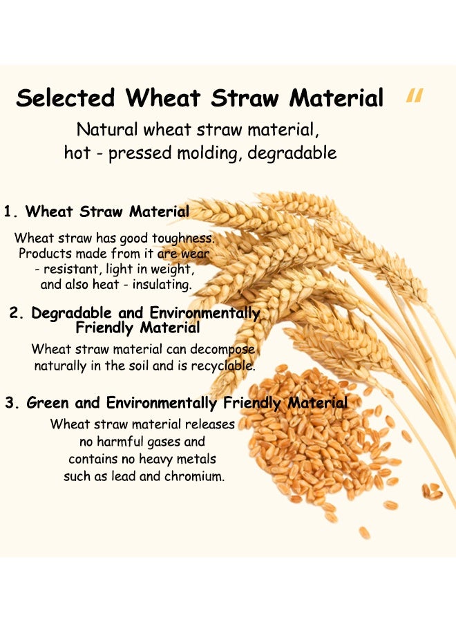 إم إكس إن 3 قطع مشط، فرشاة لتقشير الشعر، فرشاة لتنظيف قشرة الرأس، فرشاة لتقطيع فروة الرأس، فرشاة لتقطيع الشعر الاحترافي المضاد للاستاتيك من أجل التصفيف الدقيق والتحكم السلس (الأرجواني) - Image 5