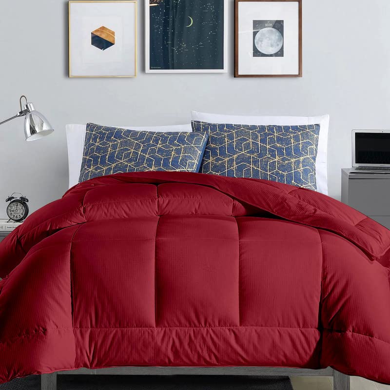 Razzai MammaYo Razzai Down Alternative Soft Quilted 300 GSM All Weather Comforter (90" x 90" Inches/228cm x 228cm) - Queen Size Comforters|Burgundy| TC - 400 - Image 1