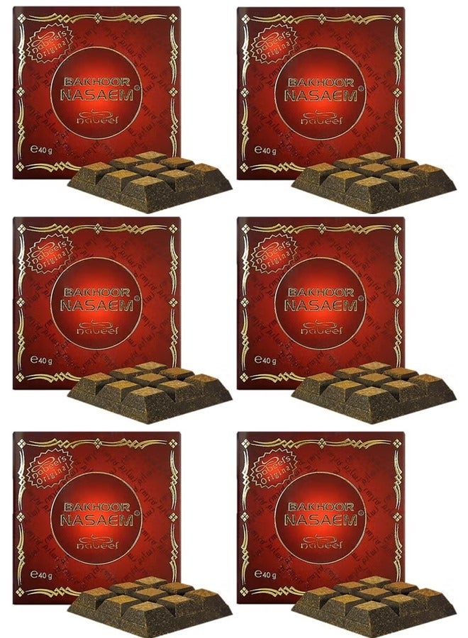نبيل ٦ قطع من بخور نبيل نسيم ٤٠ غرام، بخور عربي فاخر لخلق أجواء منزلية عطرة تدوم طويلاً - Image 1