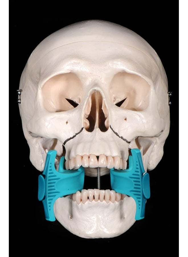 On-call in Oral and Maxillofacial Surgery - Image 3