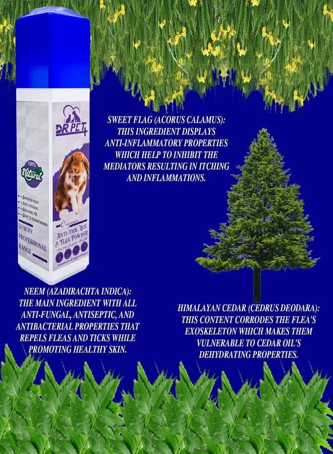 DR PET PLUS مسحوق دكتور بيت بلس العضوي للأرانب والحيوانات الأليفة الصغيرة، مصنوع من مكونات طبيعية فعالة، يساعد في مكافحة القراد والبراغيث - 100 غرام - Image 3