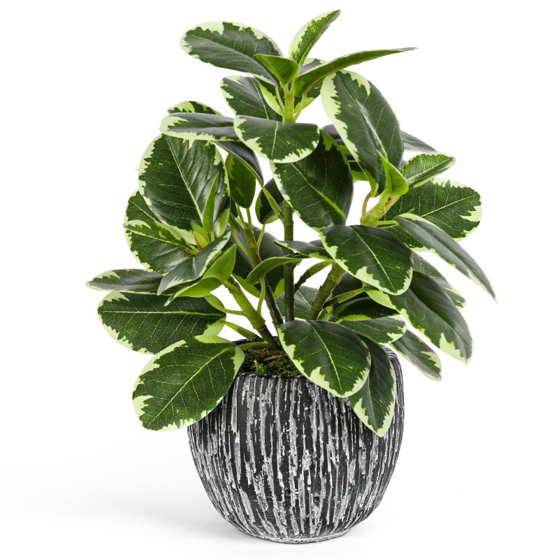 SHOHAYTO Artificial Plants Indoor Outdoor Faux Variegated Oak Leaf Plant Fake Potted Plants Artificial Decor for Coffee Table Desk Shelf Faux Plants Indoor for Living Room Bathroom Bedroom Entryway Office