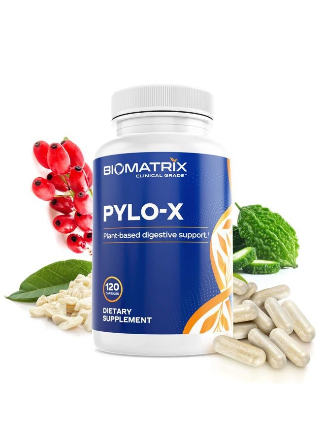 BioMatrix Pylori-X for H. Pylori Defense | Matula Tea Alternative w/Mastic Gum, Berberine, Zinc Carnosine, Bismuth Salts | Microbiome Balance, Digestive Relief (120 Capsules) - Image 1