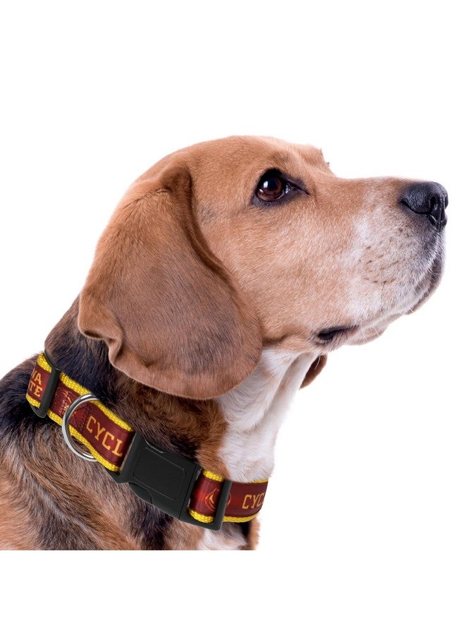 بتس فيرست طوق Pets First Collegiate PET الجديد، طوق كلاب Iwa State Cyclones، مقاس صغير. أفضل ألوان الفرق الرياضية للكلاب والقطط. طوق لامع وملون للكلاب والقطط، مرخص من الرابطة الوطنية لرياضة الجامعات (NCAA). - Image 4
