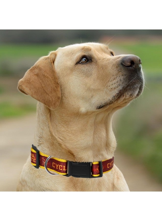بتس فيرست طوق Pets First Collegiate PET الجديد، طوق كلاب Iwa State Cyclones، مقاس صغير. أفضل ألوان الفرق الرياضية للكلاب والقطط. طوق لامع وملون للكلاب والقطط، مرخص من الرابطة الوطنية لرياضة الجامعات (NCAA). - Image 5