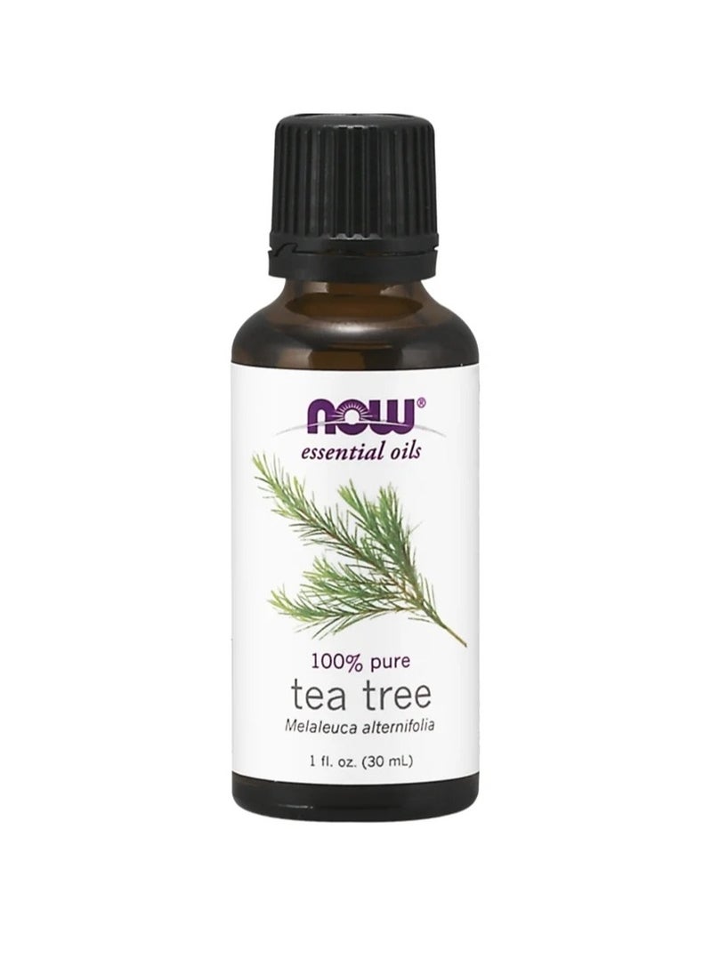 now Now Shea Tree Oil 