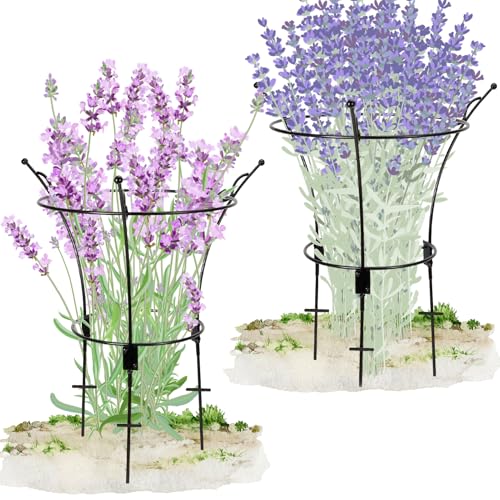 VICAMB 2 Pack Large Peony Cages and Supports232 H X 134 D Metal Peony Support RingsTall Plant Support Garden Stakes for Outdoor Plants and Other Flopping Flowers - Image 1