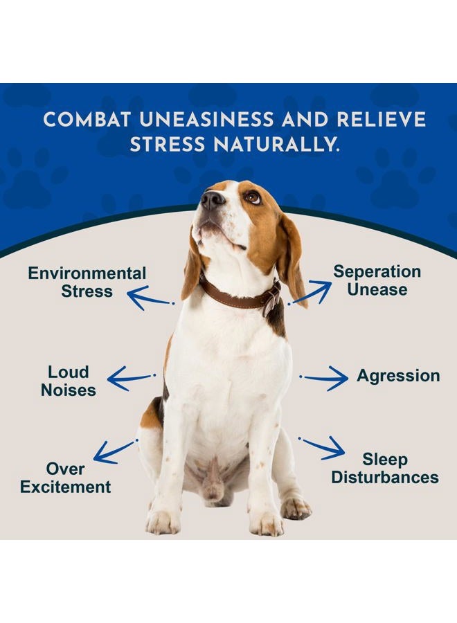 Animal Essentials Inc Tranquility Blend Liquid for Dogs & Cats, 2 Oz - Image 2