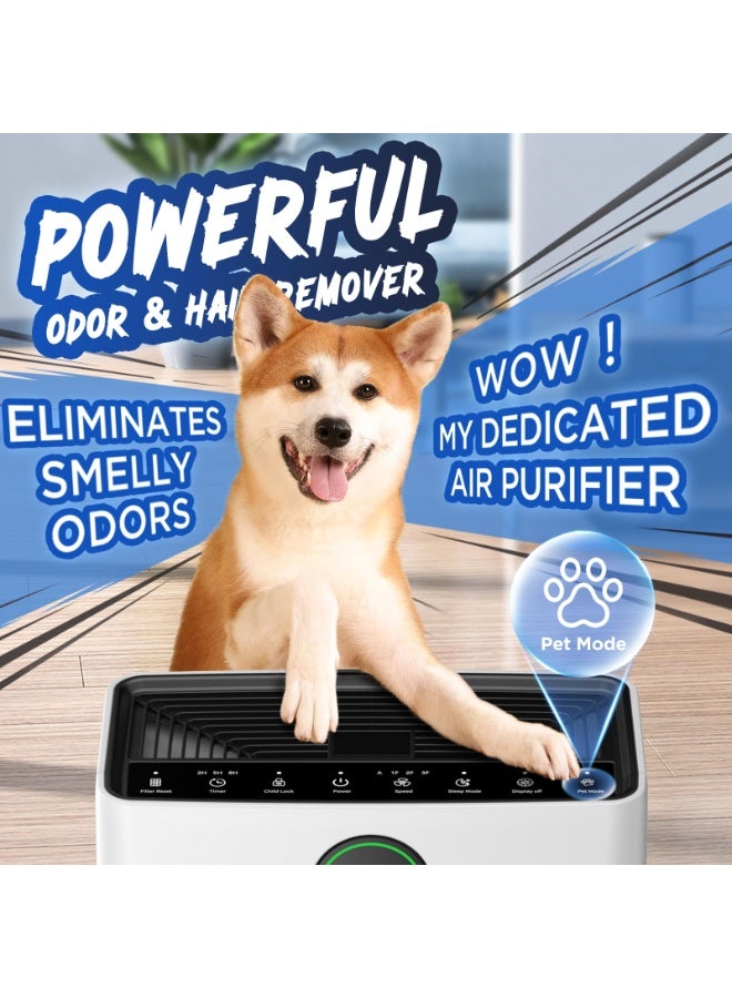 ibsun Air Purifiers for Home Large Room up to 80㎡ with Washable, PM 2.5 Display Air Quality Sensor Air Cleaner for Bedroom Pets, Office, PR1 - Image 2