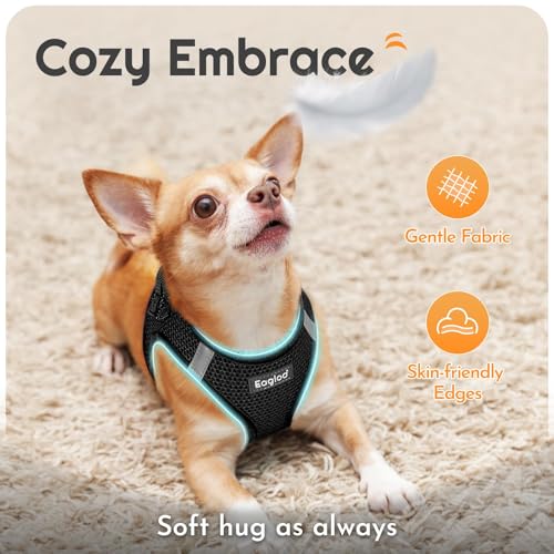 Eagloo Small Dog Harness and Leash Set, Step in Puppy Vest with Breathable Soft Mesh, Walking Reflective Pet Harness for Small Dogs, Black, S - Image 4