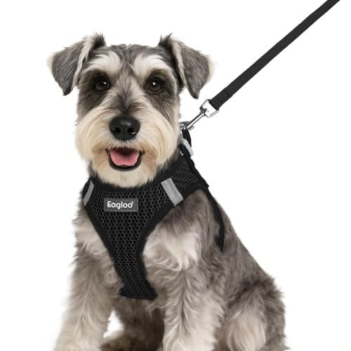 Eagloo Small Dog Harness and Leash Set, Step in Puppy Vest with Breathable Soft Mesh, Walking Reflective Pet Harness for Small Dogs, Black, S - Image 1