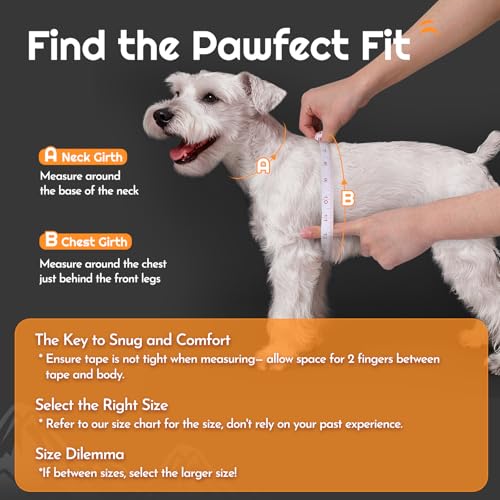 Eagloo Small Dog Harness and Leash Set, Step in Puppy Vest with Breathable Soft Mesh, Walking Reflective Pet Harness for Small Dogs, Black, S - Image 2