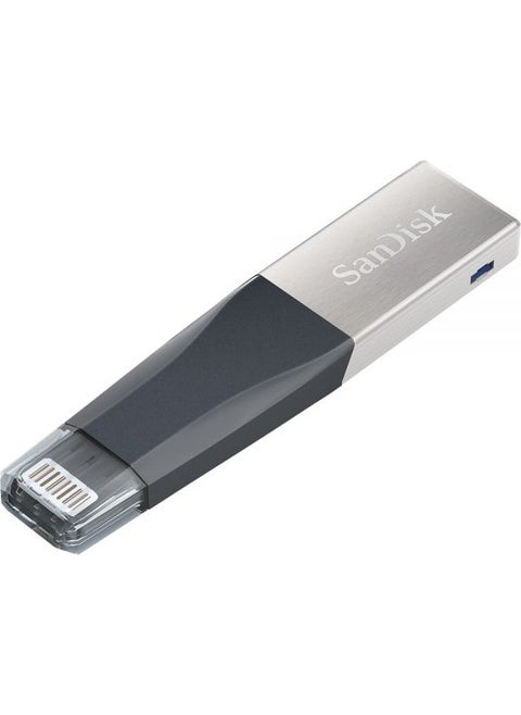 iXpand Mini 32GB iPhone USB Stick SDIX40N-032G-GN6NN
