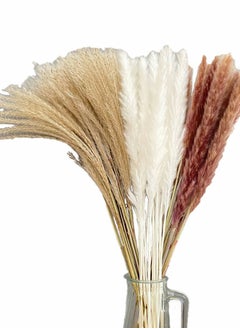 HomarKet 60-Piece Natural Dried Pampas Reed Grass  Set for Flower Arrangements Home Decor  - Image 1