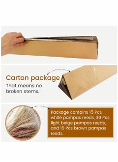 HomarKet 60-Piece Natural Dried Pampas Reed Grass  Set for Flower Arrangements Home Decor  - Image 3