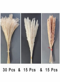 HomarKet 60-Piece Natural Dried Pampas Reed Grass  Set for Flower Arrangements Home Decor  - Image 2