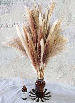 HomarKet 60-Piece Natural Dried Pampas Reed Grass  Set for Flower Arrangements Home Decor  - Image 5