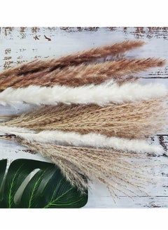 HomarKet 60-Piece Natural Dried Pampas Reed Grass  Set for Flower Arrangements Home Decor  - Image 4