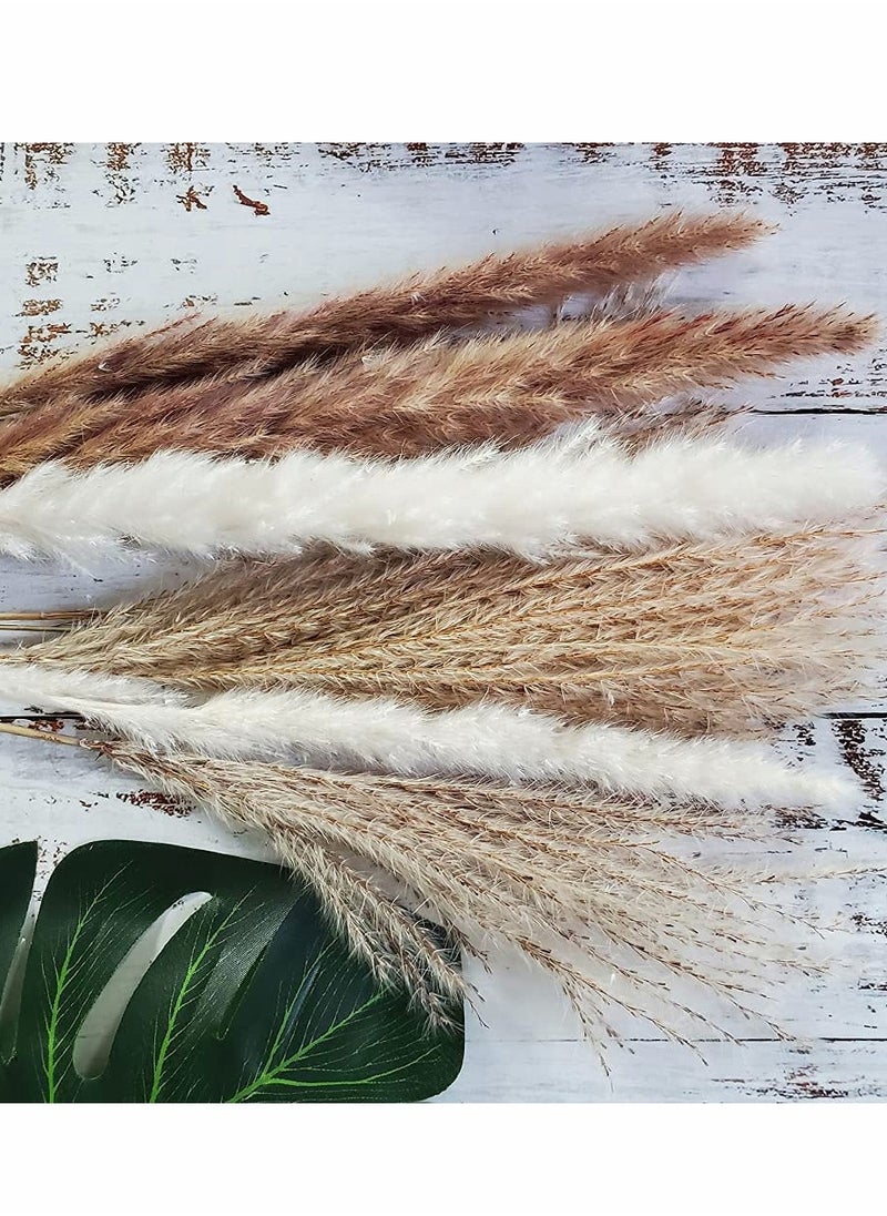 HomarKet 60-Piece Natural Dried Pampas Reed Grass  Set for Flower Arrangements Home Decor  - Image 4