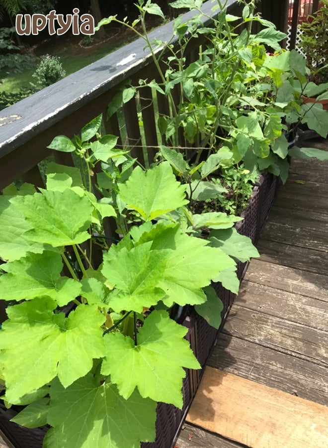 Uptyia Rectangular Raised Garden Bed Kit Indoor Outdoor Plastic Planter Grow Box for Fresh Vegetables, Herbs, Flowers & Succulents - Image 3