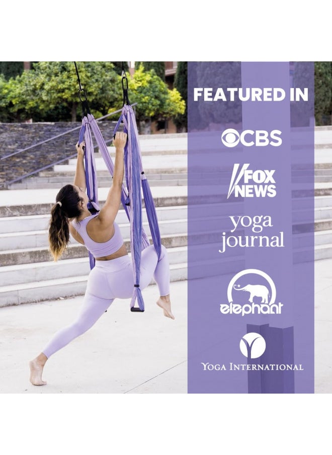 YOGABODY - YOGABODY Yoga Trapeze Pro Yoga Inversion Swing with Free Video Series and Pose Chart, Purple - Image 1