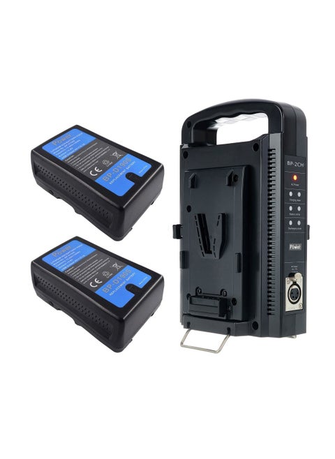 DMK Power 2 x BP-D190S V Lock Battery (190Wh, 14.8V, 13000mAh) Rechargeable Li-ion Battery with BP-2CH V Mount V Lock Double Sided Quick Battery Charger and 3 PIN Cable for Broadcast Video Camcorder