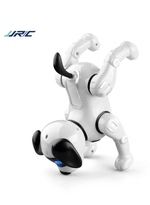 R19 Remote Control Robot Robot Dog Toy Electronic Pets Programmable Robot RC Robotic Stunt Puppy