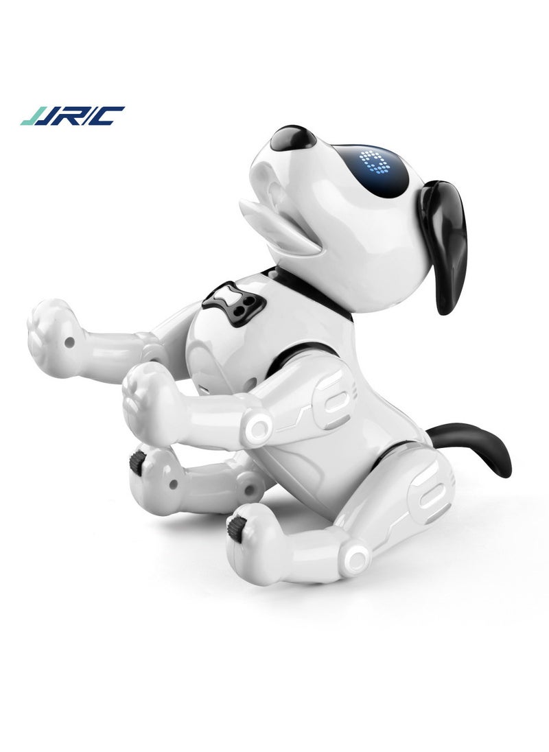 R19 Remote Control Robot Robot Dog Toy Electronic Pets Programmable Robot RC Robotic Stunt Puppy