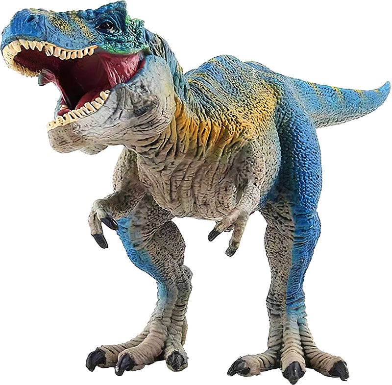 Bigefeixu Realistic Tyrannosaurus Rex Toy 11inch Large Dinosaur Action Figure with Movable Jaw STEM Learning Dinosaur Toys for Ages 4 Boys Girls Blue TRex Gift for Kids Collectors - Image 4