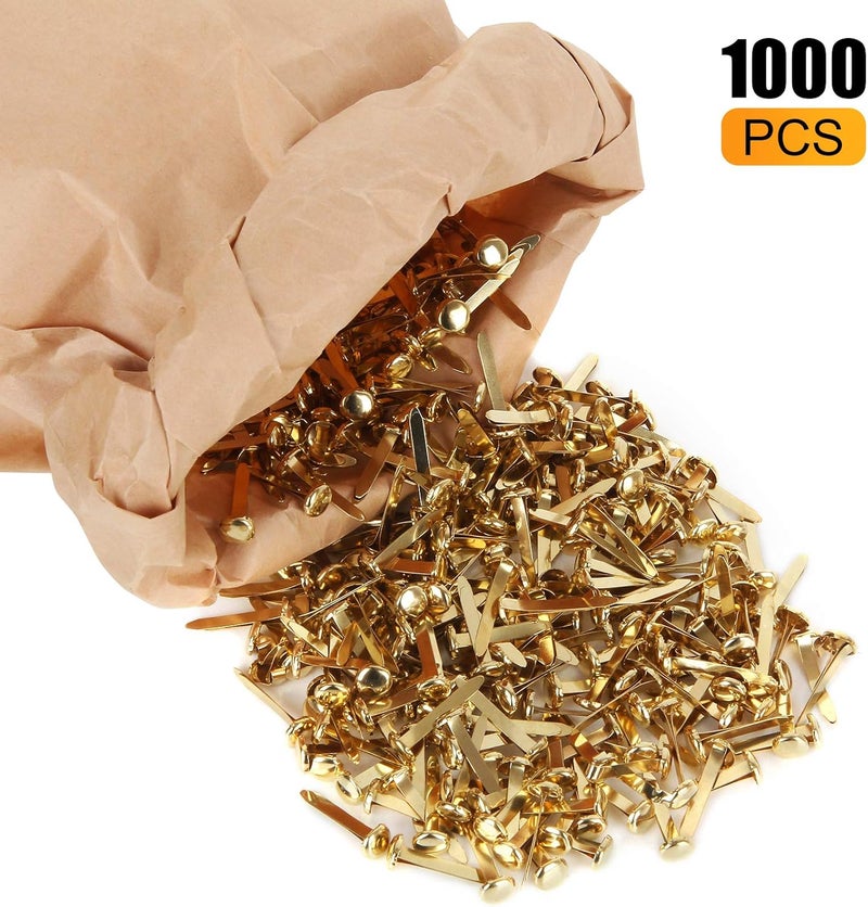 MIVIDE ميفيد 1000 حزمة مشابك ورقية كبيرة 516x 1 مطلية بالنحاس دبابيس مفصولة ملحقات فنون الحرف اليدوية ألبومات القصاصات دبابيس الحرف اليدوية دبابيس دفع - Image 3