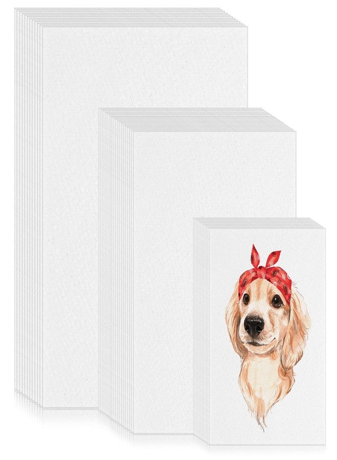 Sherr ورق رسم شير 300 ورقة 3 أحجام 90 رطل/ 160 جرام أبيض للفنانين ورسم الكتابة للأطفال والطلاب والمبتدئين والفنانين، 5 × 7، 6 × 9، 9 × 12 (مائي) - Image 1