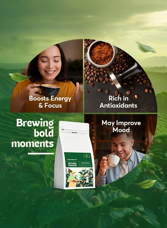 The Caphe Vietnam Fine Robusta Coffee – Anaerobic Natural Process (Single Origin, Whole Beans) 1KG | Medium Roast, Fruity & Complex, Freshly Roasted in Dubai - Image 5