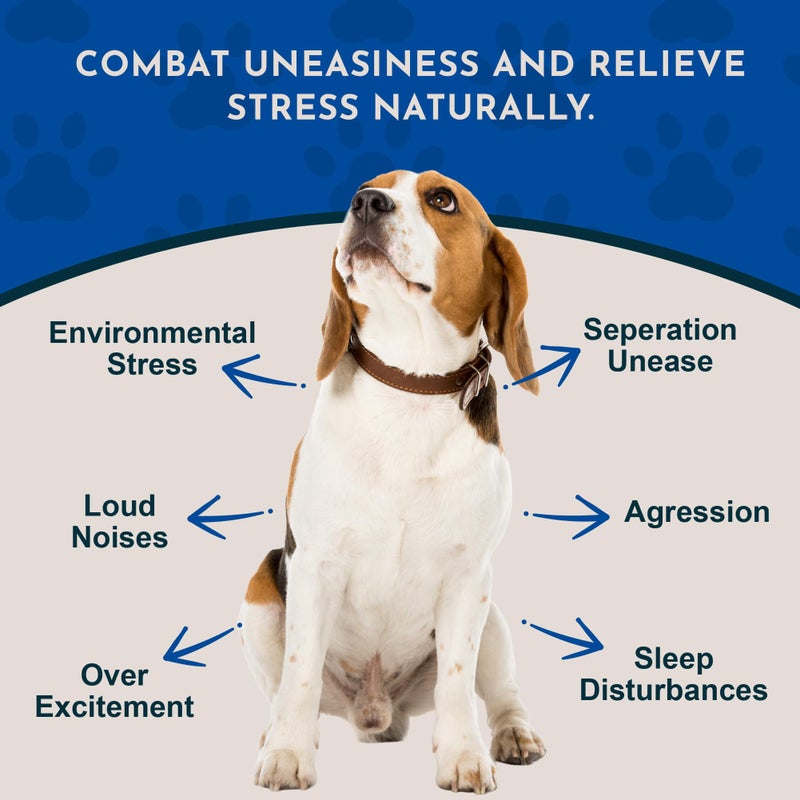 Animal Essentials Tranquility Blend - Valerian Root for Dogs & Cats, Organic Calming Drops for Dogs & Cats, Natural Pet Care Supplement to Relax & Sleep, Herbal Calm Support - 2 fl oz - Image 2