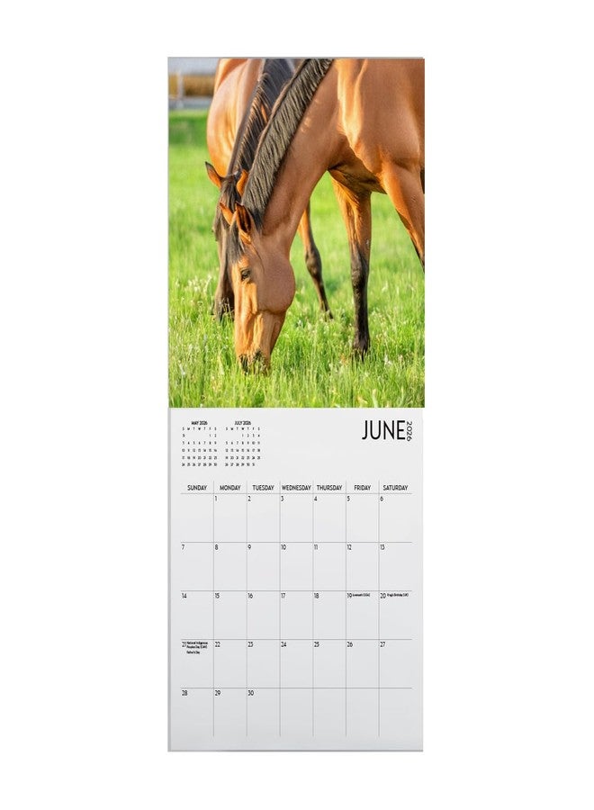 ARTICO Horses Calendar 2026, Large 12 x 12 inch, Horse Wall Calendar, Gift for Horse Lovers, Cute Calendar for girls - Image 2