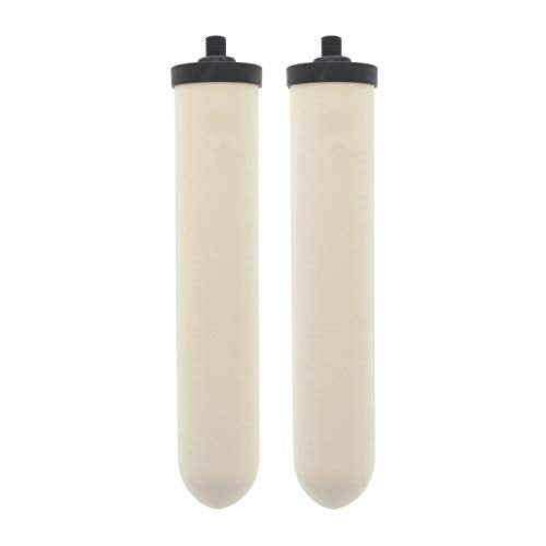 Doulton W9123053 UltraCarb 10 Inch Ceramic Candle Filter Cartridge (2 PACK) - Image 1