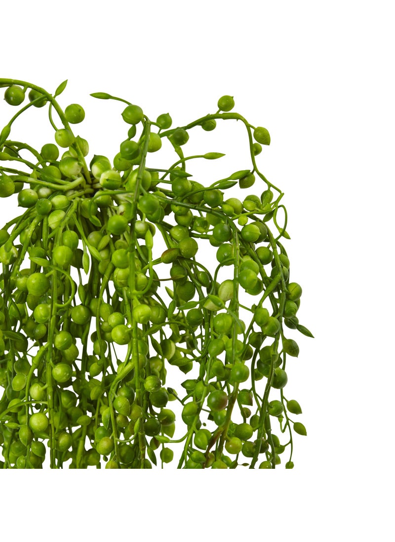 Nearly Natural Nearly Natural Senecio Artificial Succulent Plant  Set of 3  - Image 3
