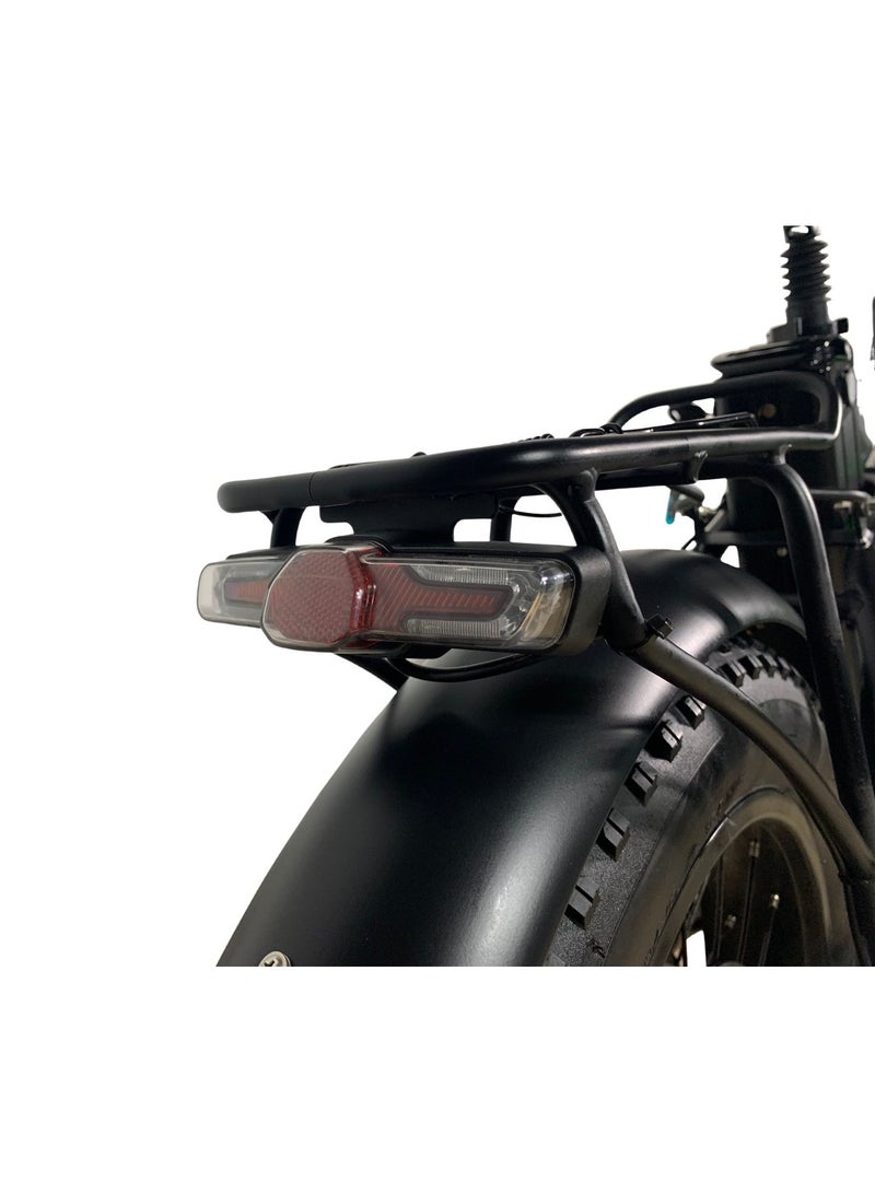 Emotions E-Bike E-motions Fastrider - Image 5