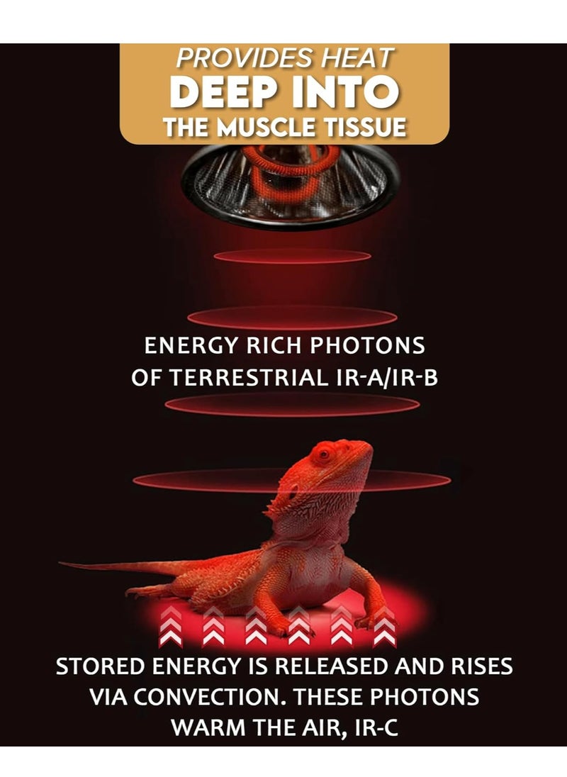 120W Deep Heat Infrared Projector Lamp for Reptiles, Emits both Infrared A & B Wavelengths, Reptiles Basking Light Heat Lamp Bulbs with Reflector for Bearded Dragons, Turtles, Snakes, Lizards, etc.