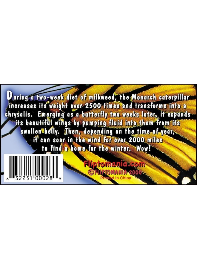 Fliptomania Nature Flipbook 3-Pack: Butterfly, Hummingbird, and Frog Flipbooks - Image 1