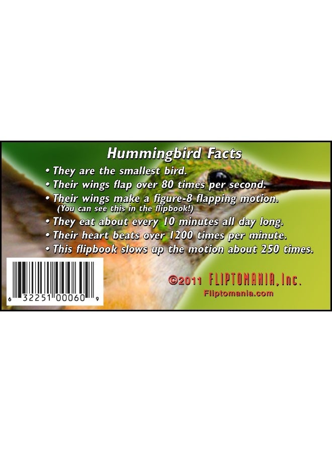 Fliptomania Nature Flipbook 3-Pack: Butterfly, Hummingbird, and Frog Flipbooks - Image 2