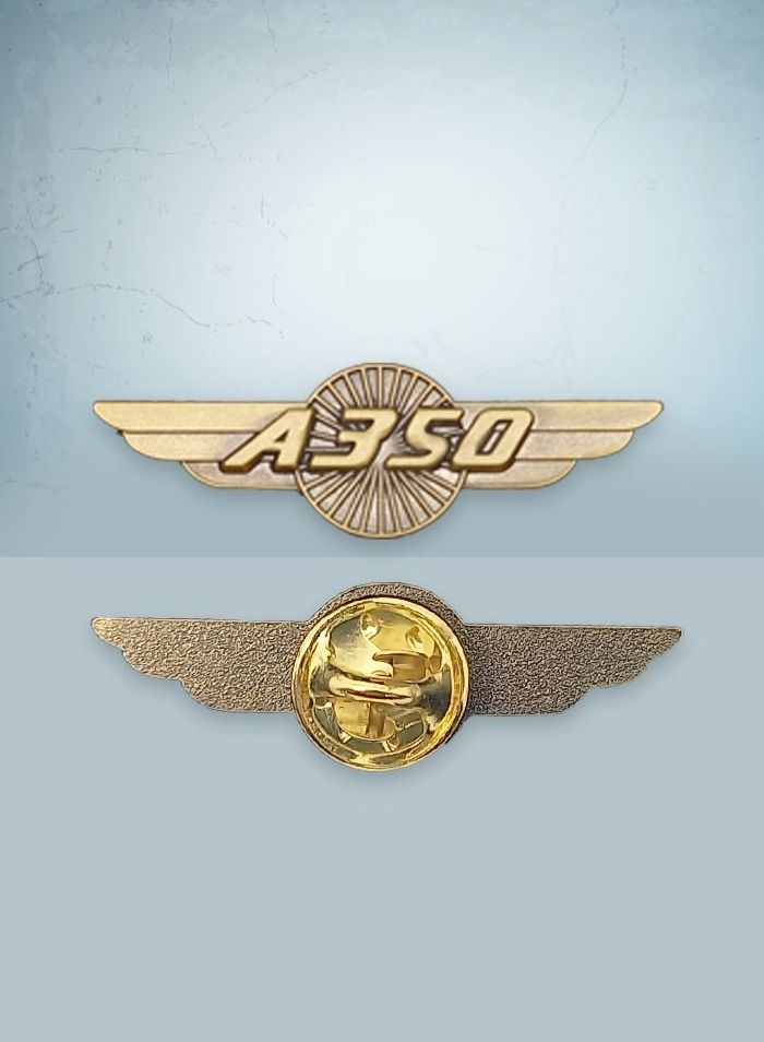 Fighter Gifts A350 Gold Wings Pin